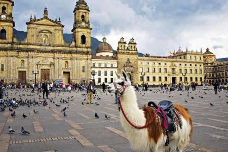 Apartasuites Bogota Romannoti מראה חיצוני תמונה